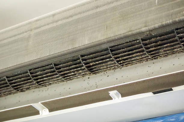 Best HVAC System Cleaning  in Dickson, OK